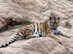 -西霞口神雕山野生动物世界