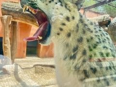 -青藏高原野生动物园