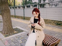 -三里屯东五街银杏大道