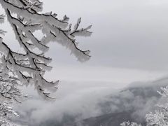 -安吉龙王山风景区
