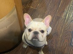 -老味道(田子坊店)