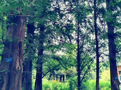 -国家植物园南园