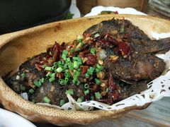 -椿记烧鹅(叠彩店)