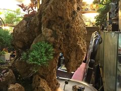 -双季花艺园艺市场(浦东店)
