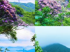 -梧桐山风景名胜区