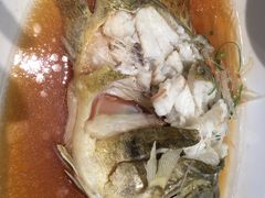 -蔡阿水羊肉店