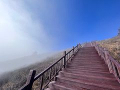 -驼梁风景区