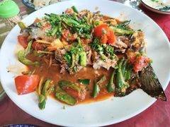 -生态苑农庄(十里画廊遇龙河店)