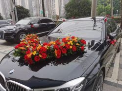 -蚂蚁婚车