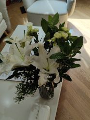 -HEYAN荷妍专业脱毛连锁机构