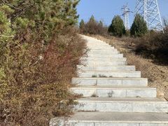 -五龙城郊森林公园