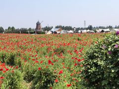 -君乐宝优致牧场