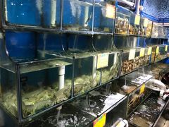 水产区-蚝专家(北滘店)