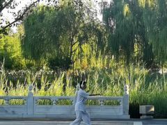 -西海子公园