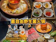 -菌自由丨野生菌火锅特色庭院餐厅(丽江古城店)