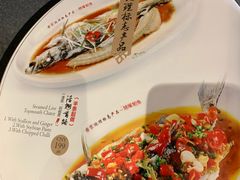 -丹江渔村(望京店)