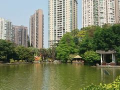 -四海公园(南山区)