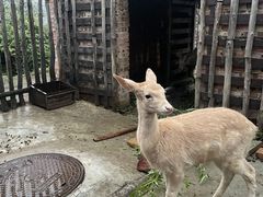 -白鹿原影视城