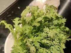 -涿派·炝锅鱼(涿州店)