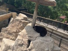 -石家庄市动物园