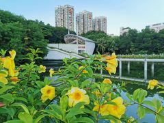 -深圳国际园林花卉博览园