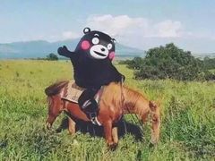 -街街旺风味炸洋芋(大观商业城C座店)