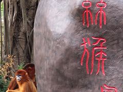 -深圳野生动物园
