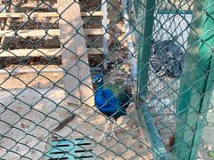 -北京鹿世界主题园