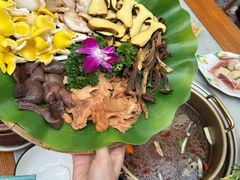 -大理董·董家小厨野生菌火锅(古城旗舰店)