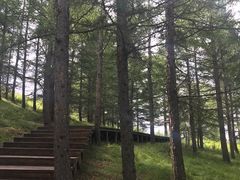 -塞罕坝国家级自然保护区