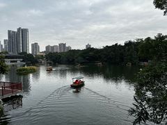 -荔湾湖公园
