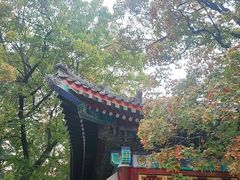 -香山公园