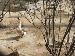 -森林公园(尖草坪区)