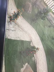 -天津市儿童医院(北辰龙岩院区)