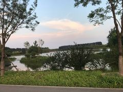 -东郊湿地公园