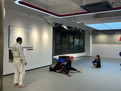 -EFL巴西柔术·综合格斗·泰拳·少儿体能训练(虹桥德必馆)