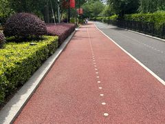 -公平路渡口(轮渡站)