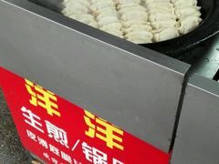 -洋洋锅贴