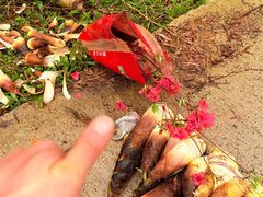 -安吉美渝石锅鱼(芜园西路店)