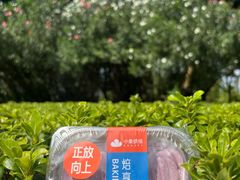 -羊山湖公园