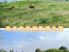 -良渚古城遗址公园