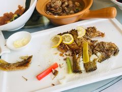 -骏莱海鲜鱼港(五角场店)