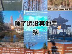 -白水寺森林公园