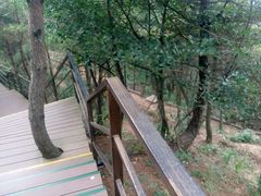 -沂蒙山旅游区云蒙景区(蒙山国家森林公园)