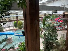-南宫温泉水世界