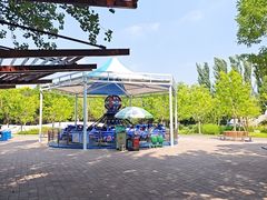 -大望京公园