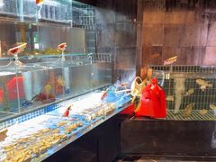 -苏淮景·苏闽融创菜·海鲜(原空港井河轩店)