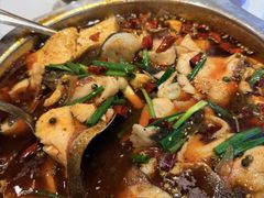 -乡土特色.冷锅鱼.牦牛肉火锅