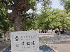 -北陵公园
