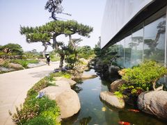 -罗红摄影艺术馆